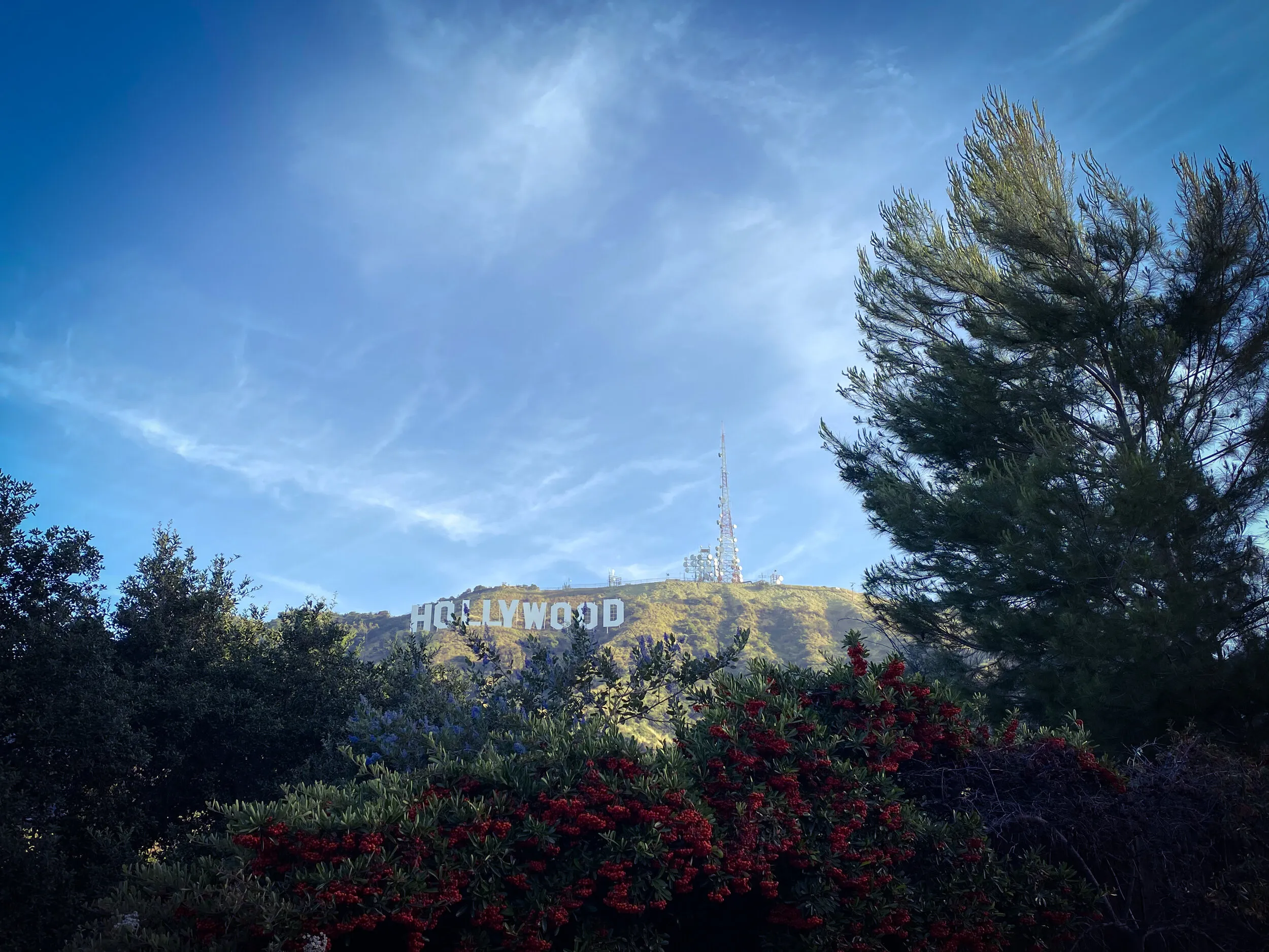 Attempting 10,000 Feet of Climbing for the First Time — image 7