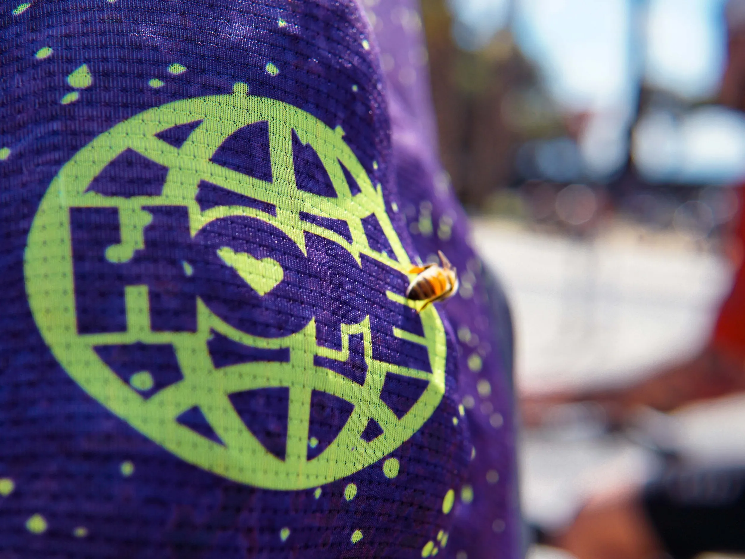 Early Mornings, Beautiful Views, and Good People on Bikes — image 21